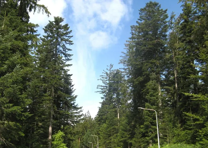 Ferienwohnung Schwarzwald Oase Kniebis