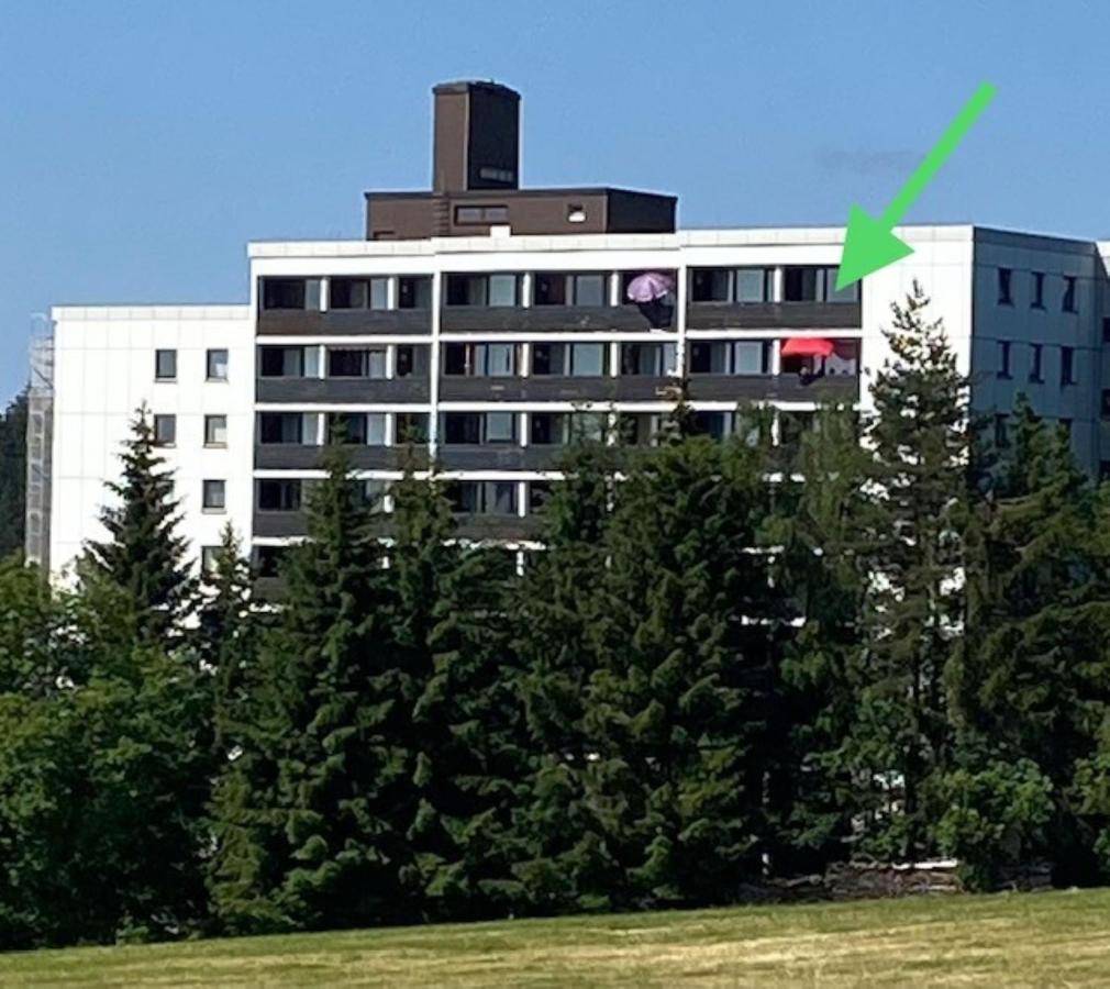 Schwarzwald Oase